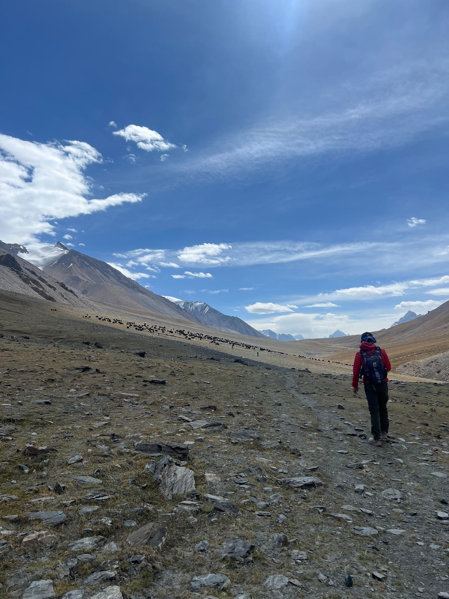 Shimshal Pass and Mingling Sar Summit