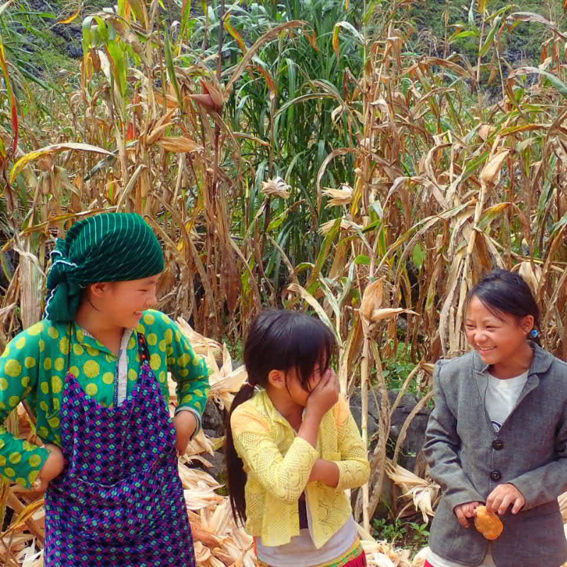 13 DAYS | NORTHERN LINES: VIETNAM | MAR 2027
